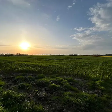 Prázdninový dům 6 Person In Haderslev-by Traum *